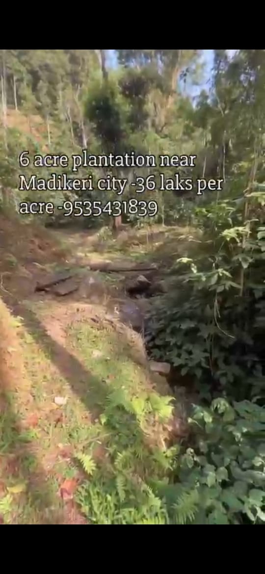 🆔 *property id 5178*  *Premium 6 Acre Coffee Estate for Sale – Near Madikeri City*